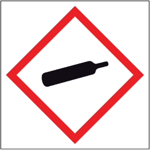 Afbeeldingen van Pikt-o-norm Pictogram GHS gashouder onder druk 250