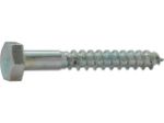 Afbeeldingen van Houtdraadbout rvs a4    m8x50