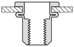 Afbeeldingen van Masterfix Blindklinkmoer MASTERGRIP RVS Hexatop open type/cilinderkop
