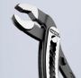 Afbeeldingen van KNIPEX Alligator®, Waterpomptang 300