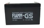 Afbeeldingen van Fiamm Pb accu 6V 7200mAh