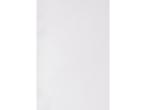 Afbeeldingen van GBC voorblad, 300 micron, a4, verpakking 100 vel, ib386817, polypropyleen, wit