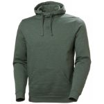 Afbeeldingen van Helly Hansen CLASSIC LOGO HOODIE groen