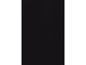 Afbeeldingen van GBC voorblad, 300 micron, a4, verpakking 100 vel, ib386831, polypropyleen, zwart