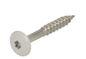 Afbeeldingen van Trespaschr.rvs l.grijs t20   4.8x38