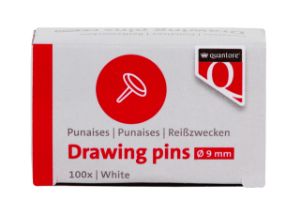 Afbeeldingen van Punaises Quantore 100 stuks zilver