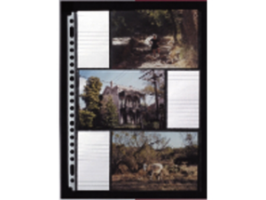 Afbeeldingen van Multo fototas 23rings 10x15cm a4 3vakken+stroken transparant, 7321170 