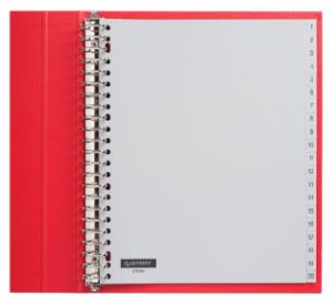 Afbeeldingen van Tabbladen Quantore 23-gaats 1-20 genummerd extra breed PP